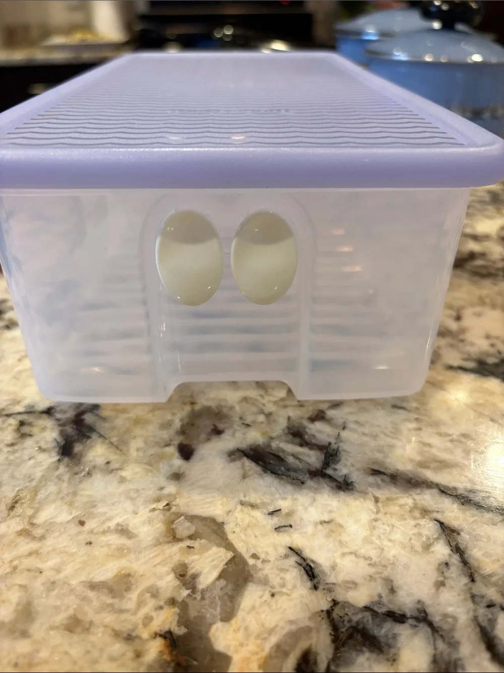 Tupperware Light Purple FridgeSmart Produce Keeper